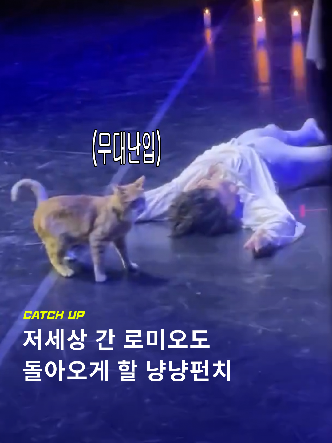 @이슈&트렌드 | 케찹
