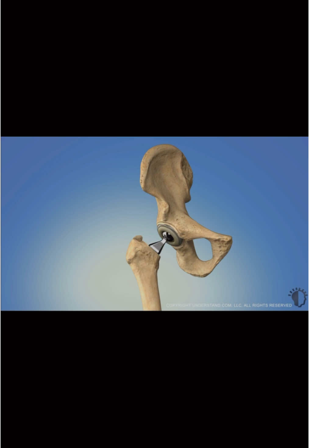 @Anatomias
