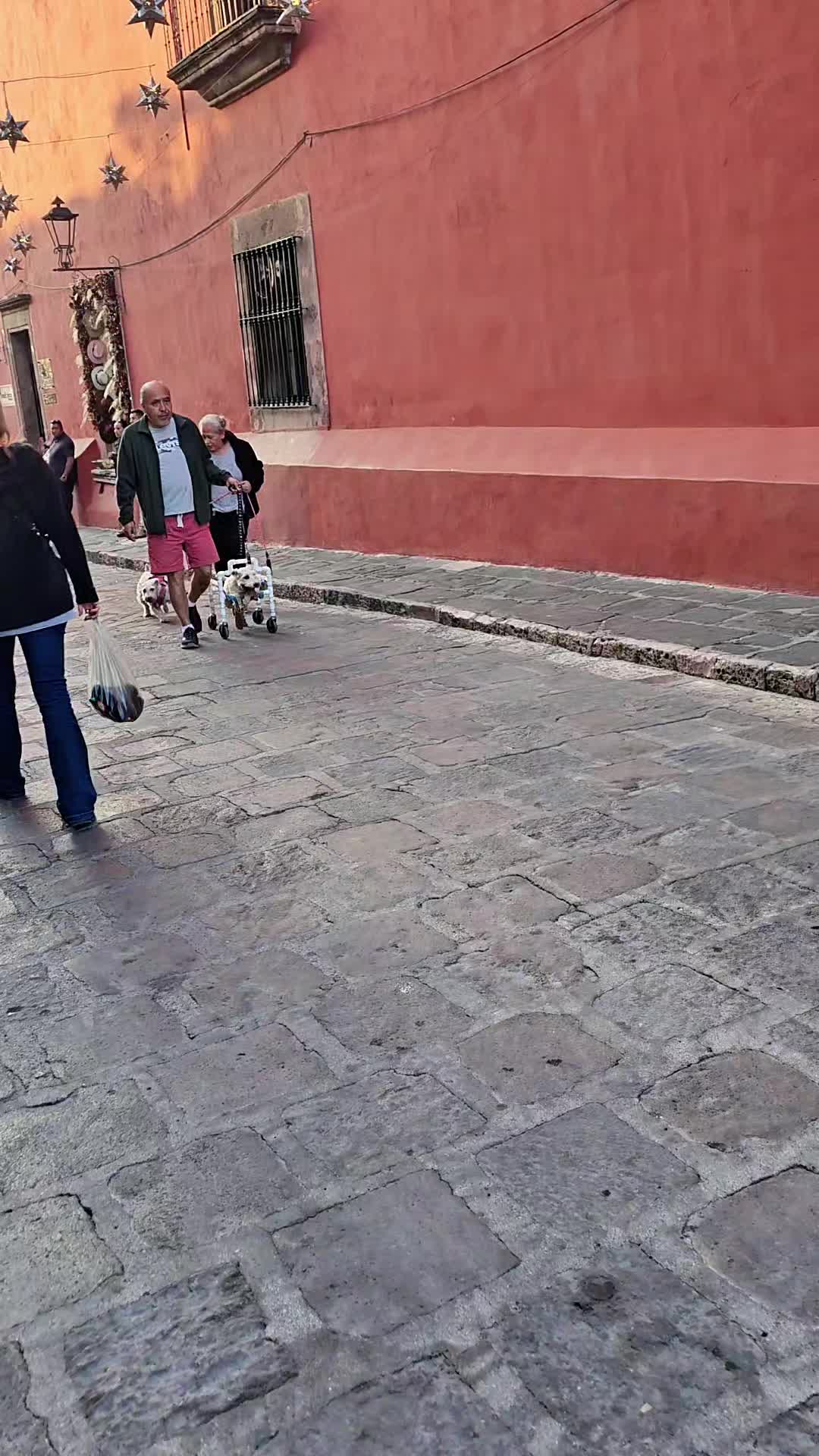 @Werifesteria
