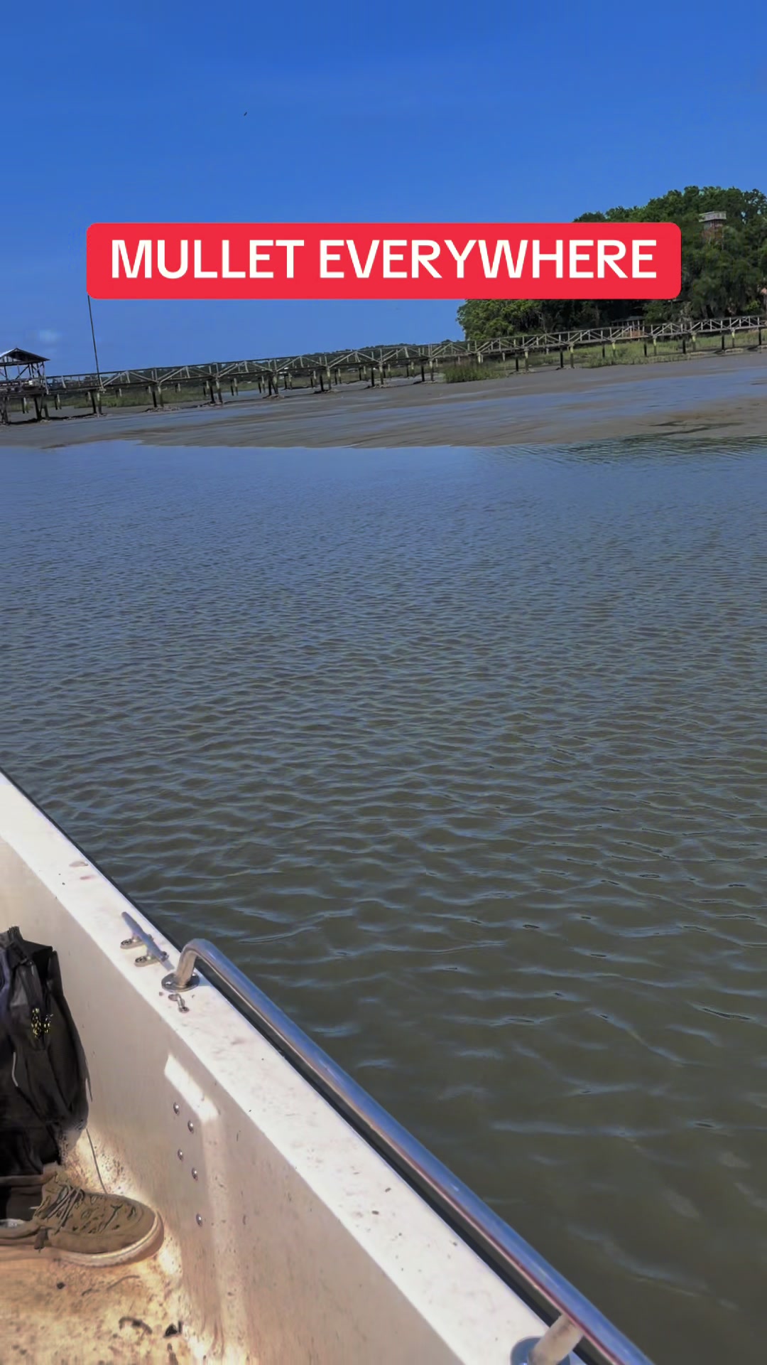 @BeaufortSC_Bait