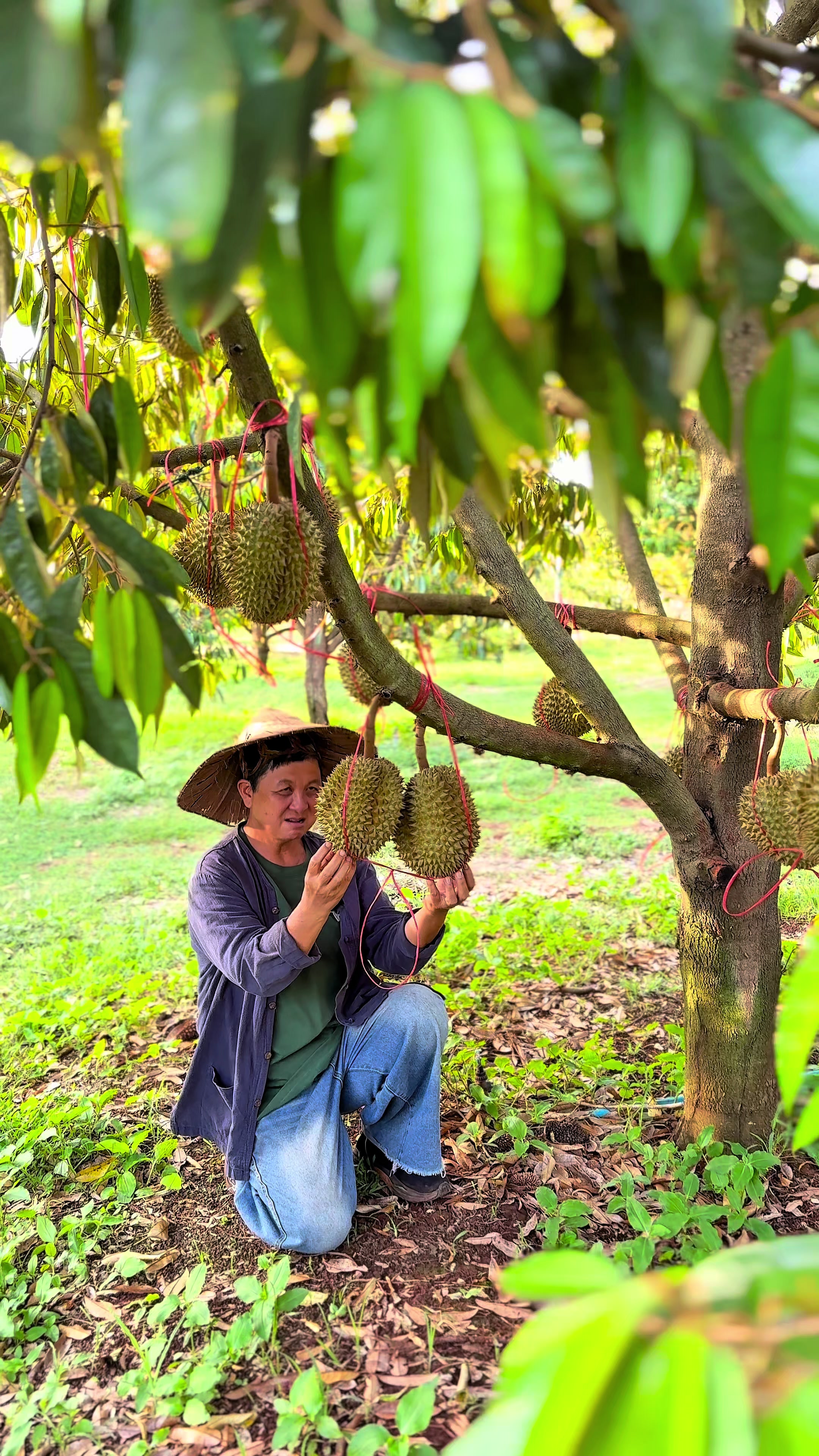 @ไร่วันยังขำ Oneyoungkham farm