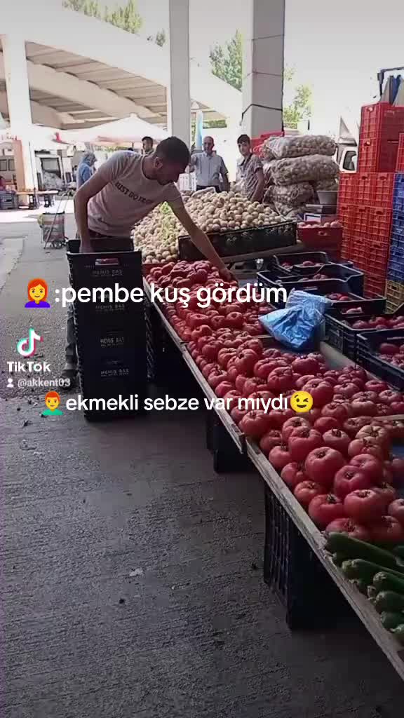 @mehmet akkent03