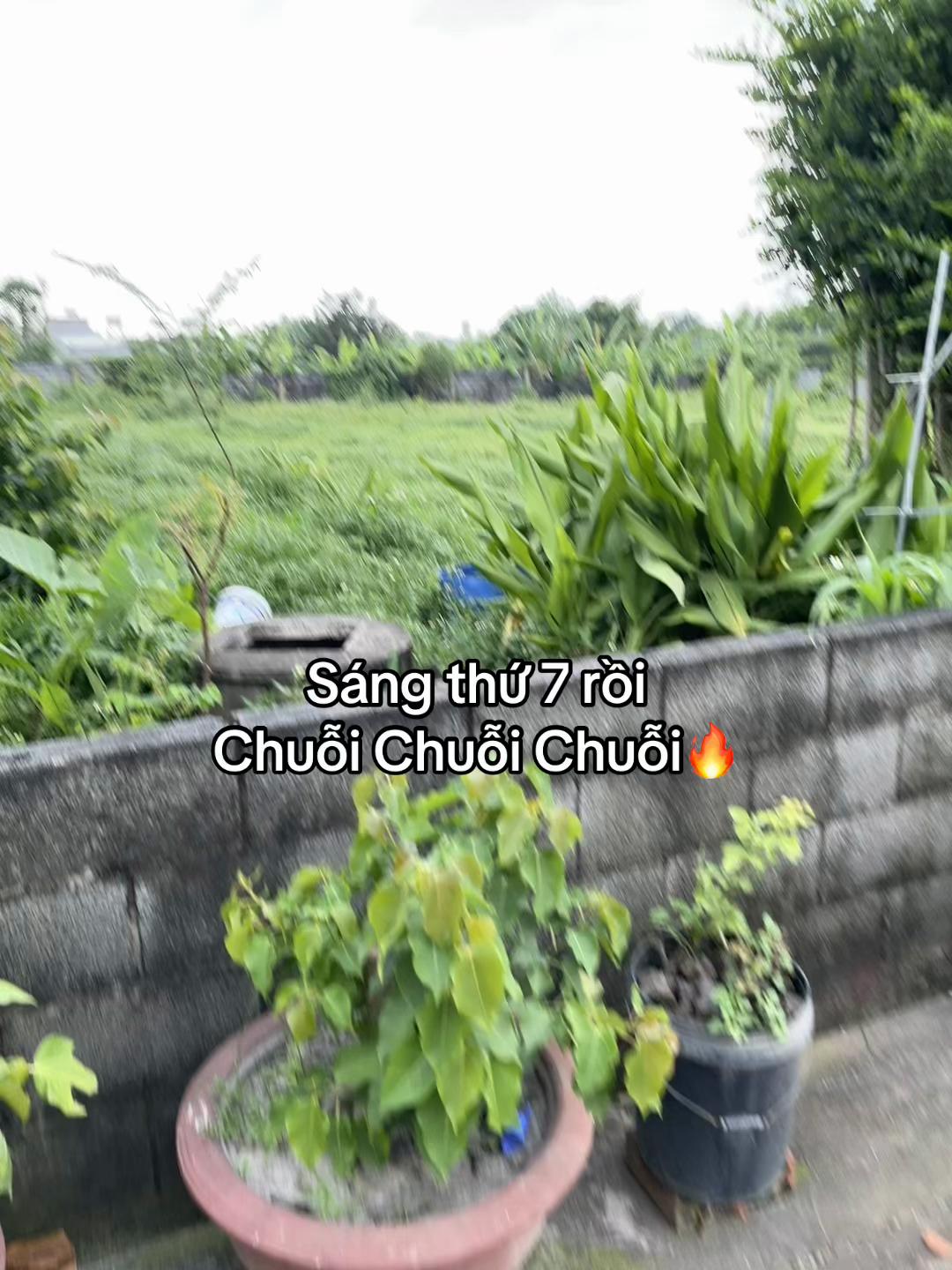 @Tiến Đức
