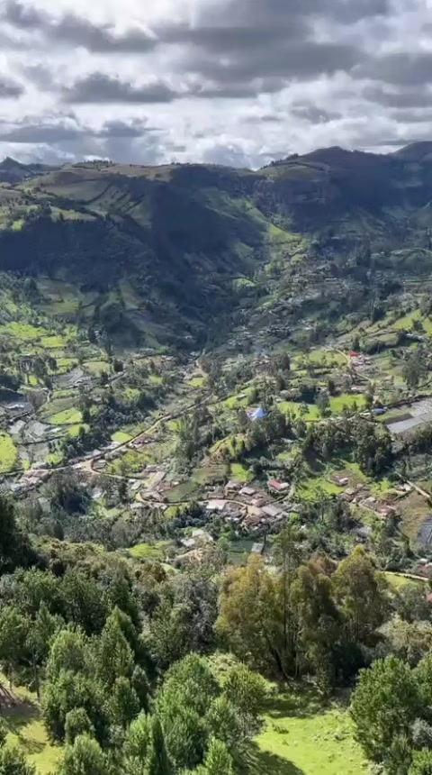 @tatiana reina 🌻🫶