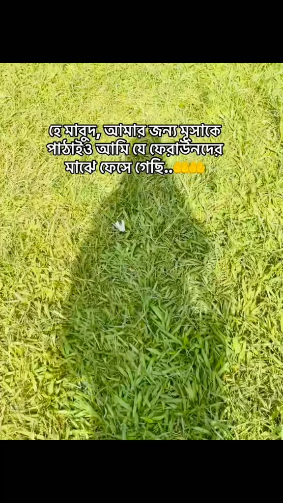 @Queen somu🥰