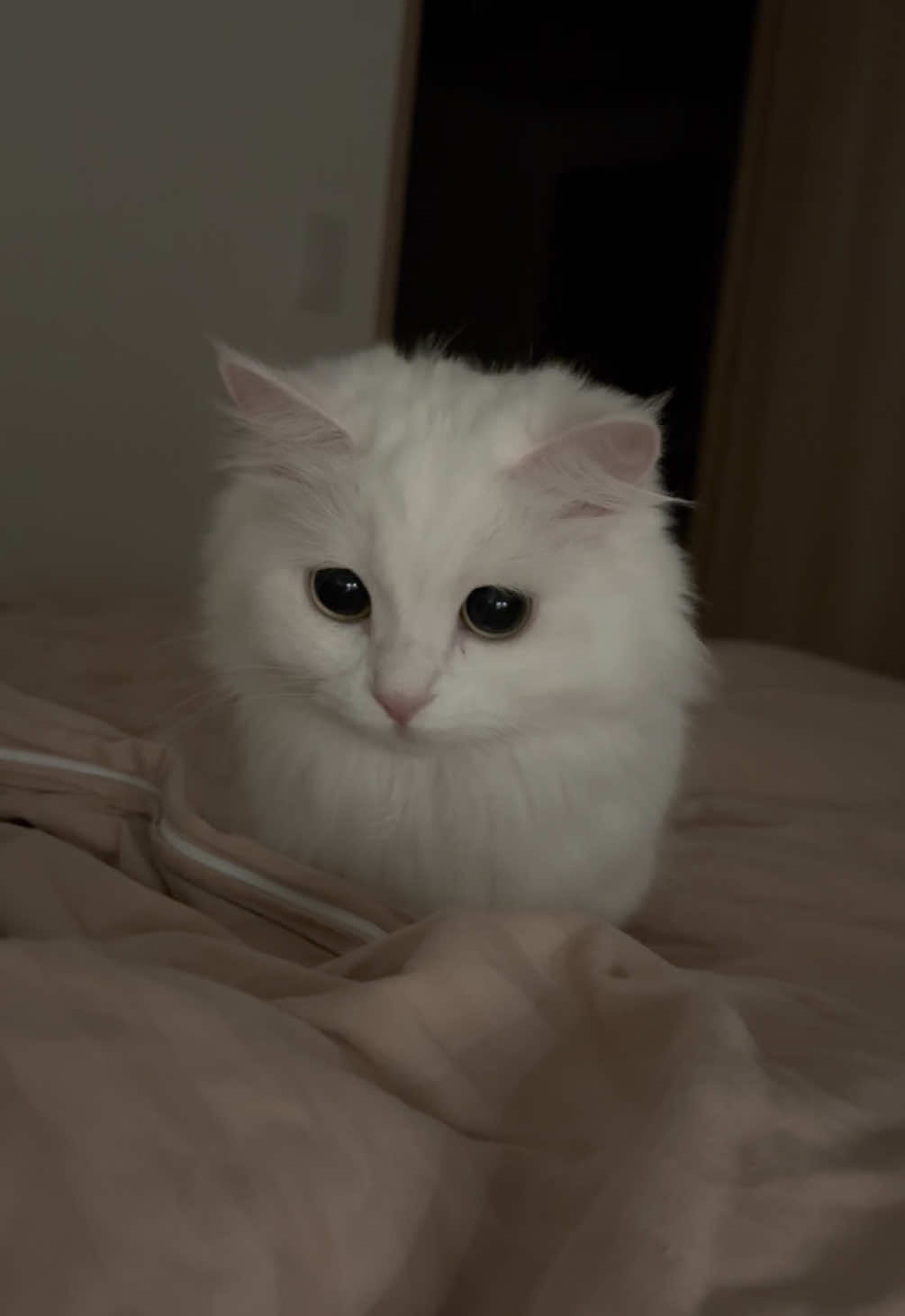 @ごろ