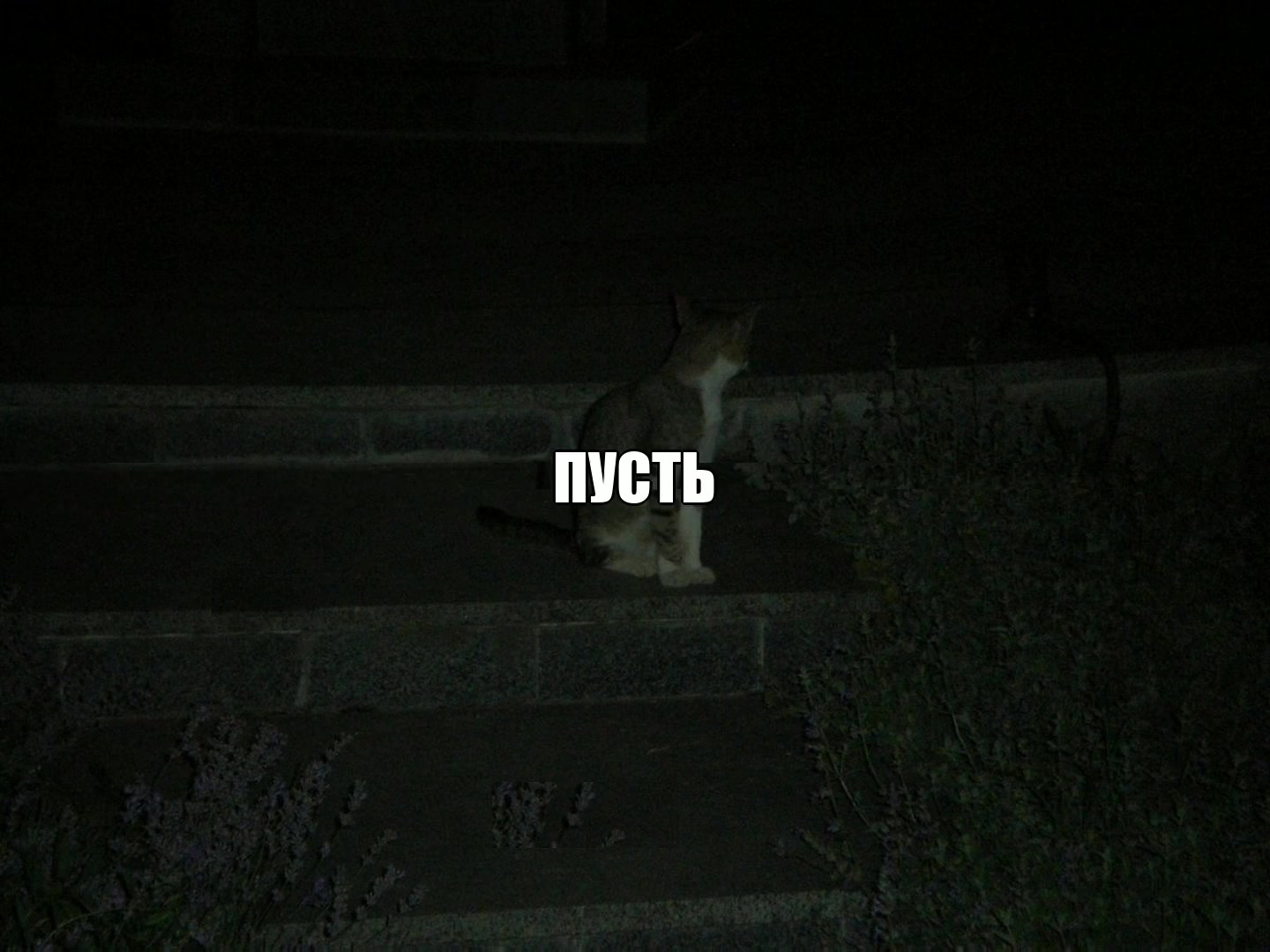 @для липсингов