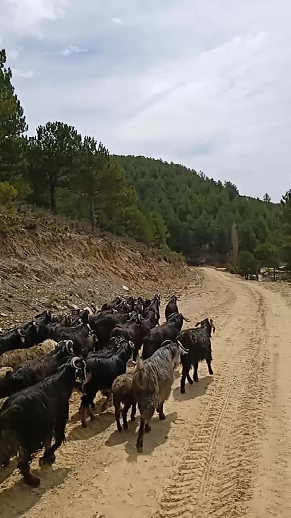 @Osman Eğilmez