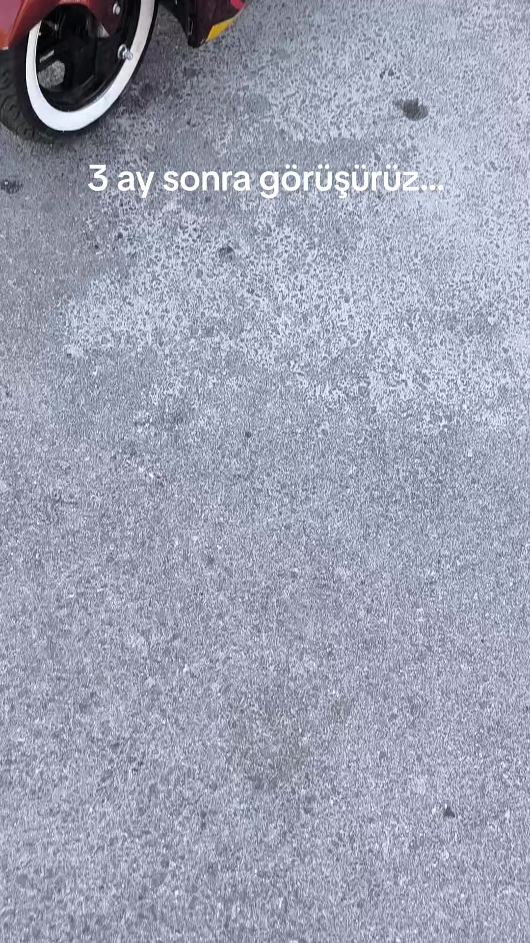 @selim sarıyiğit