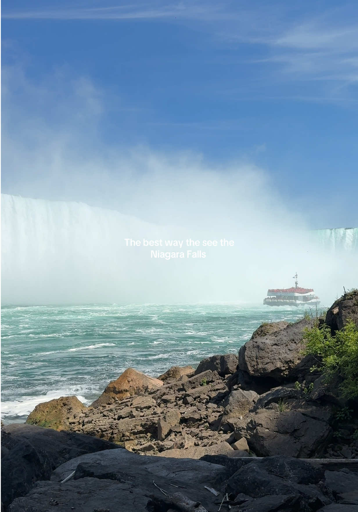 @DineinToronto