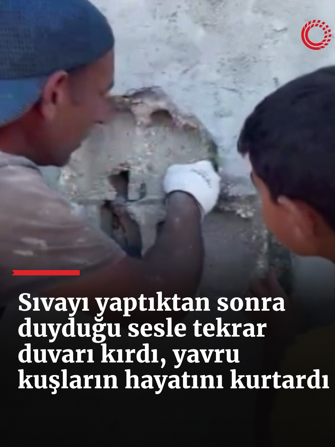 @haberlercom