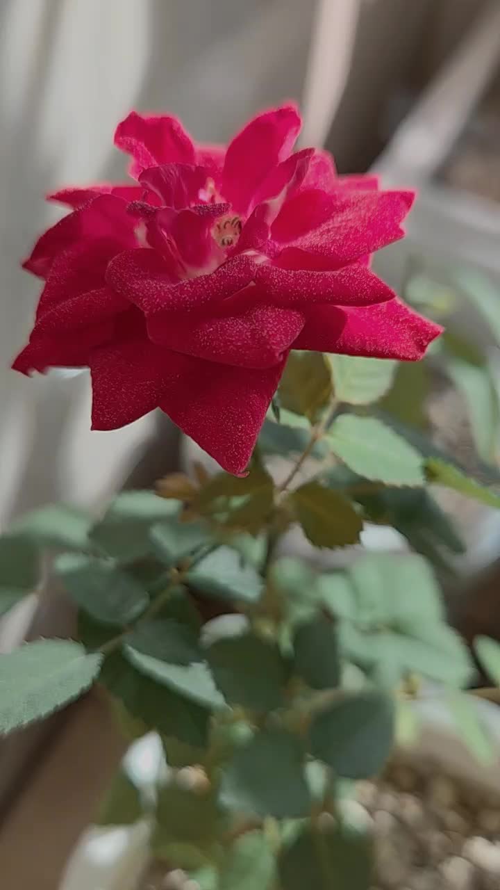 @법무사