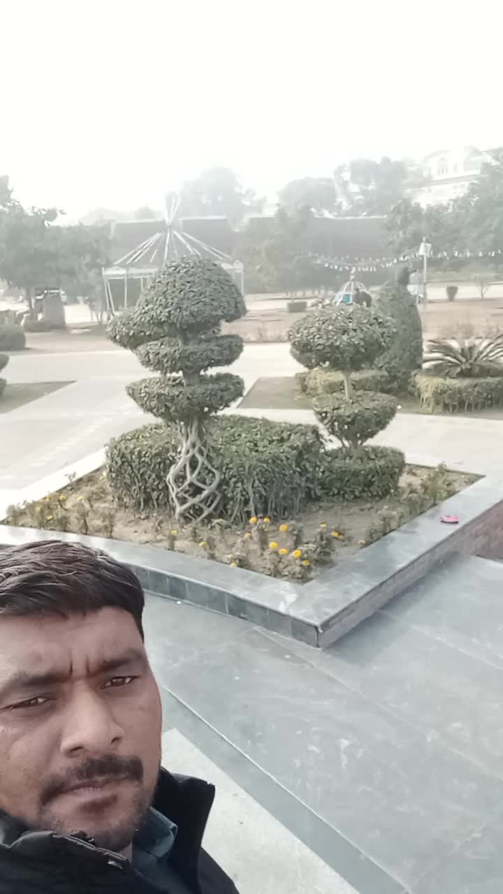 @mujahid06277