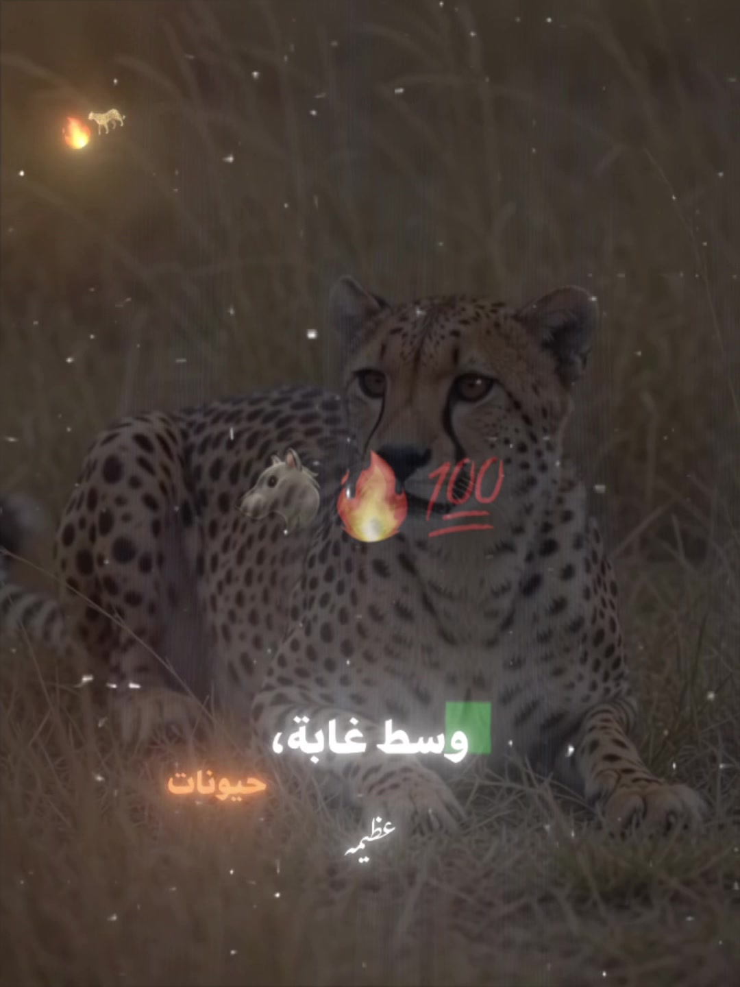 @``๐๐๐๐๐๐ฆ``