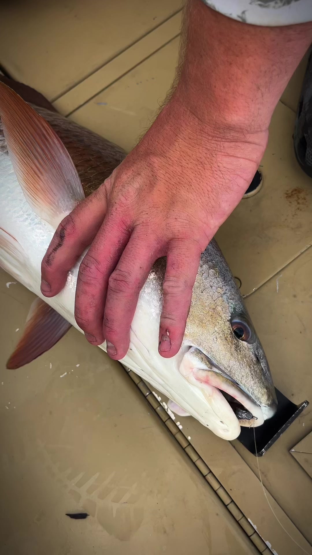 @The Fish Slayer