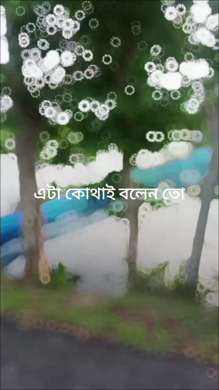 @❣️❣️❣️মন হারা পাখি ❣️❣️❣️