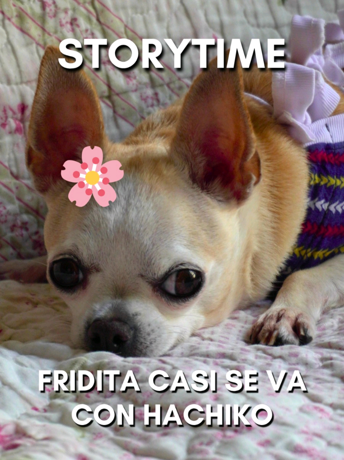 @pedritoquispe.cix