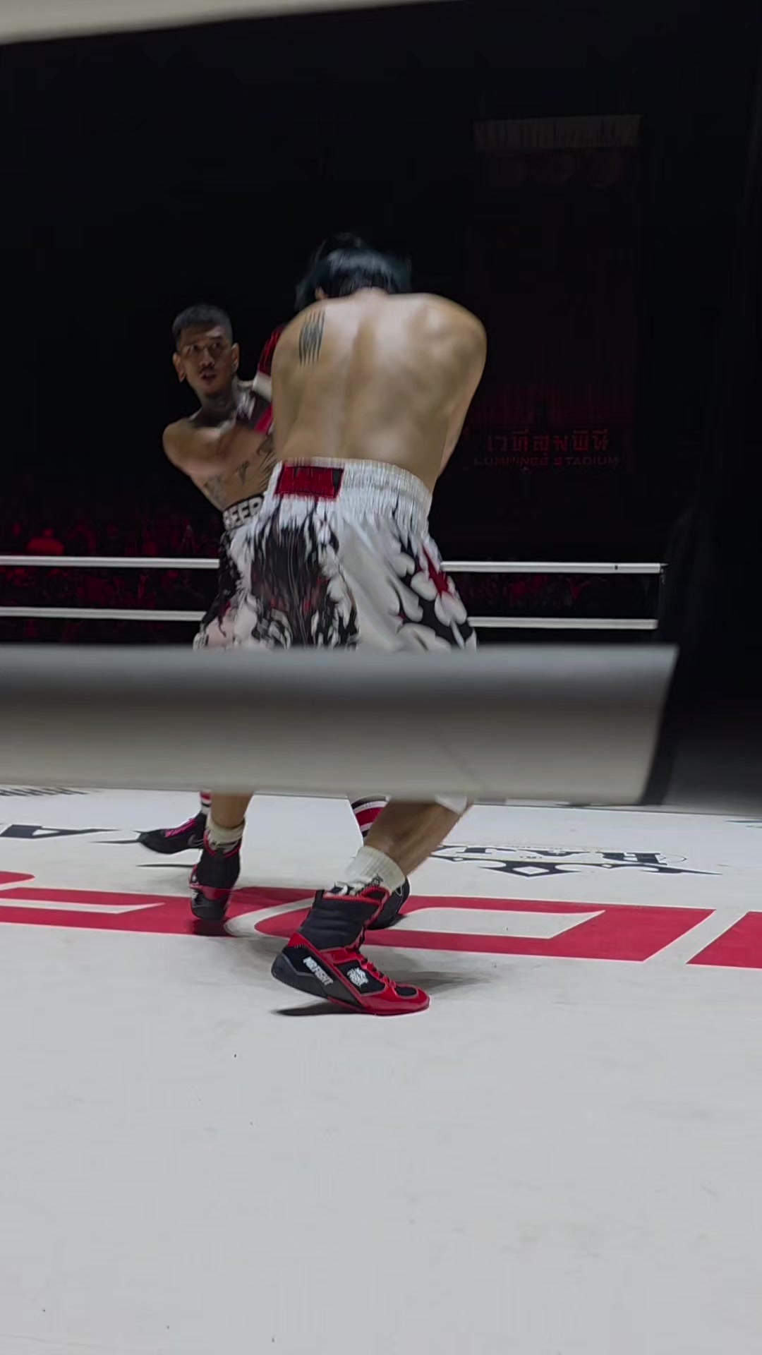 @Mr.Fight