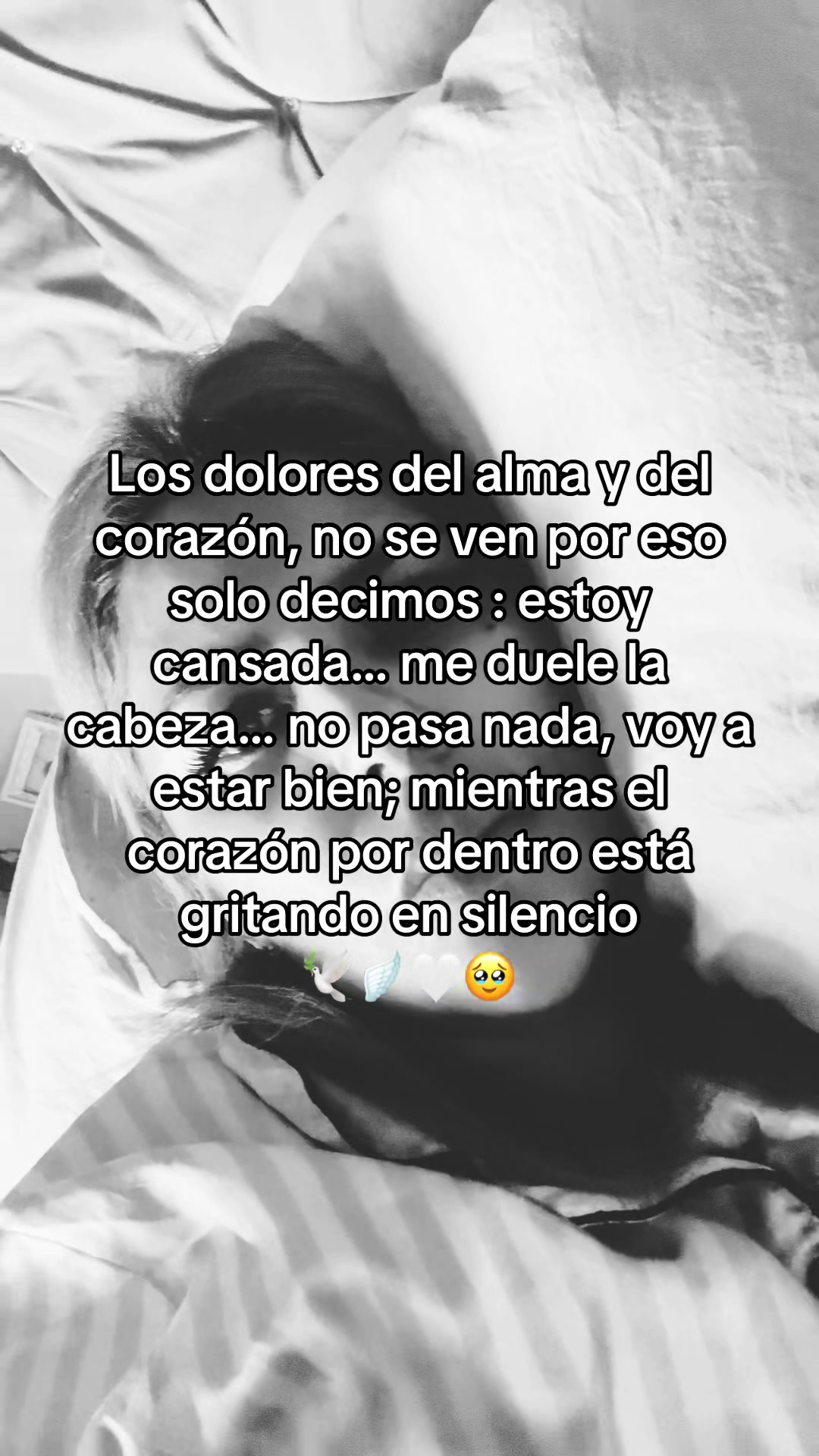 @Polito_777