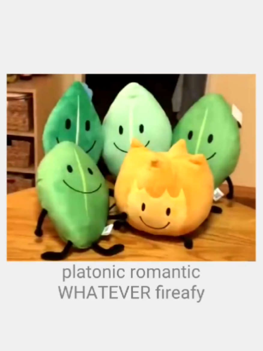@the fireoiny enthusiast 🔥🪙