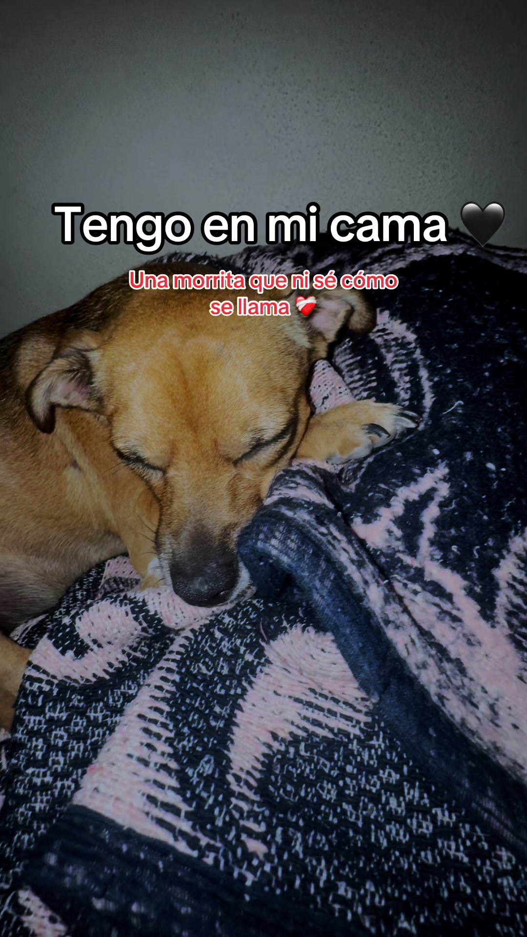 @Gabo Floyd