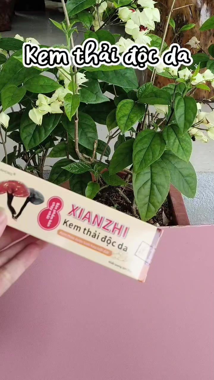 @Nguyễn Thiện Nhân