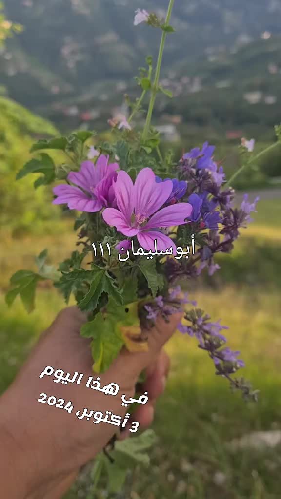 @ALserhany111
