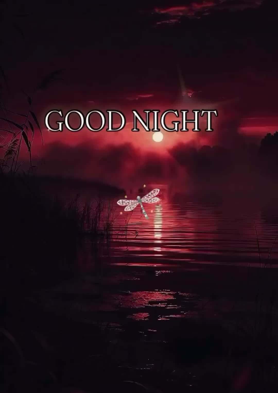 @❌-Yvonne-positive vibes