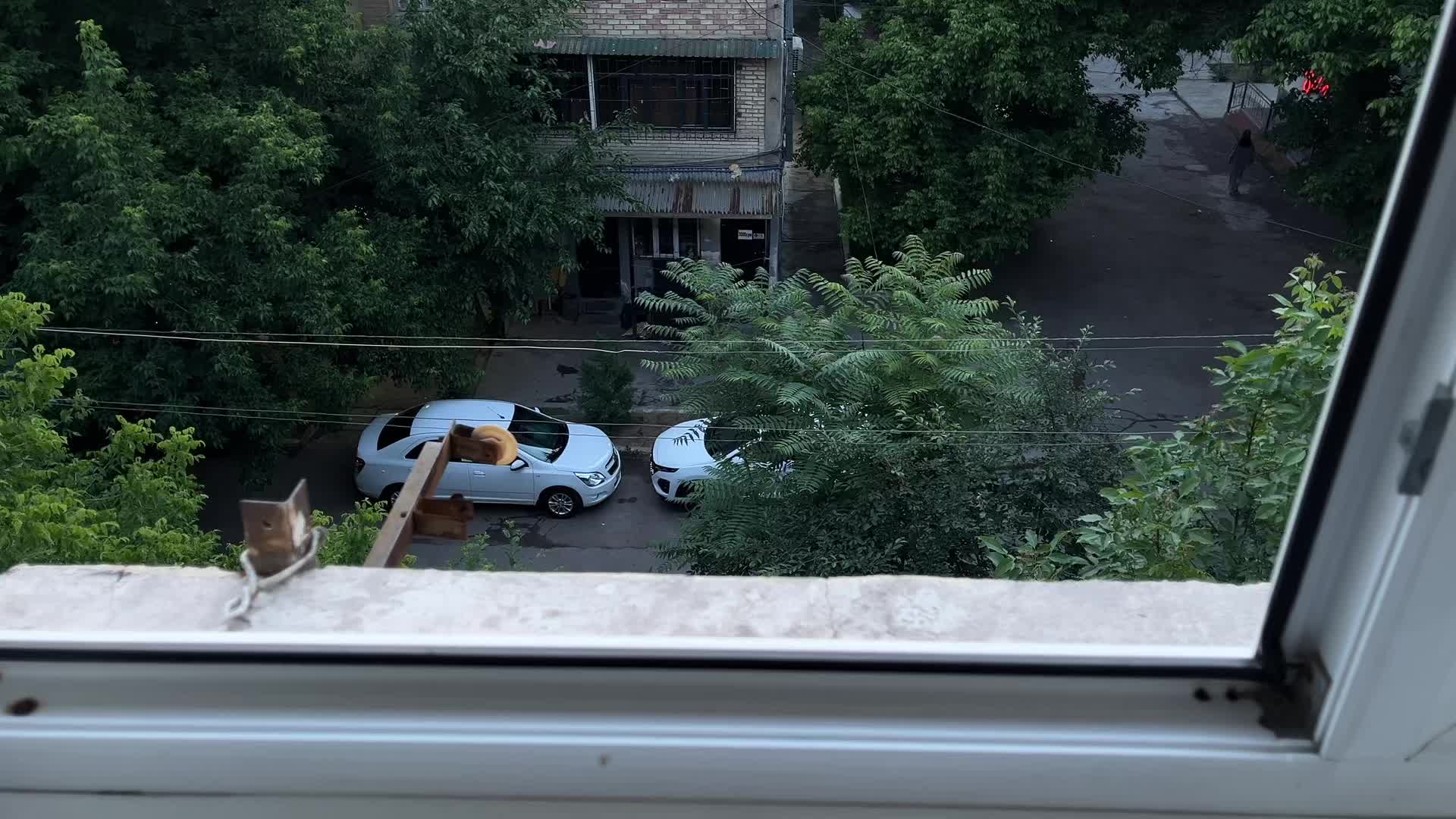 @не_в_сети 🪽