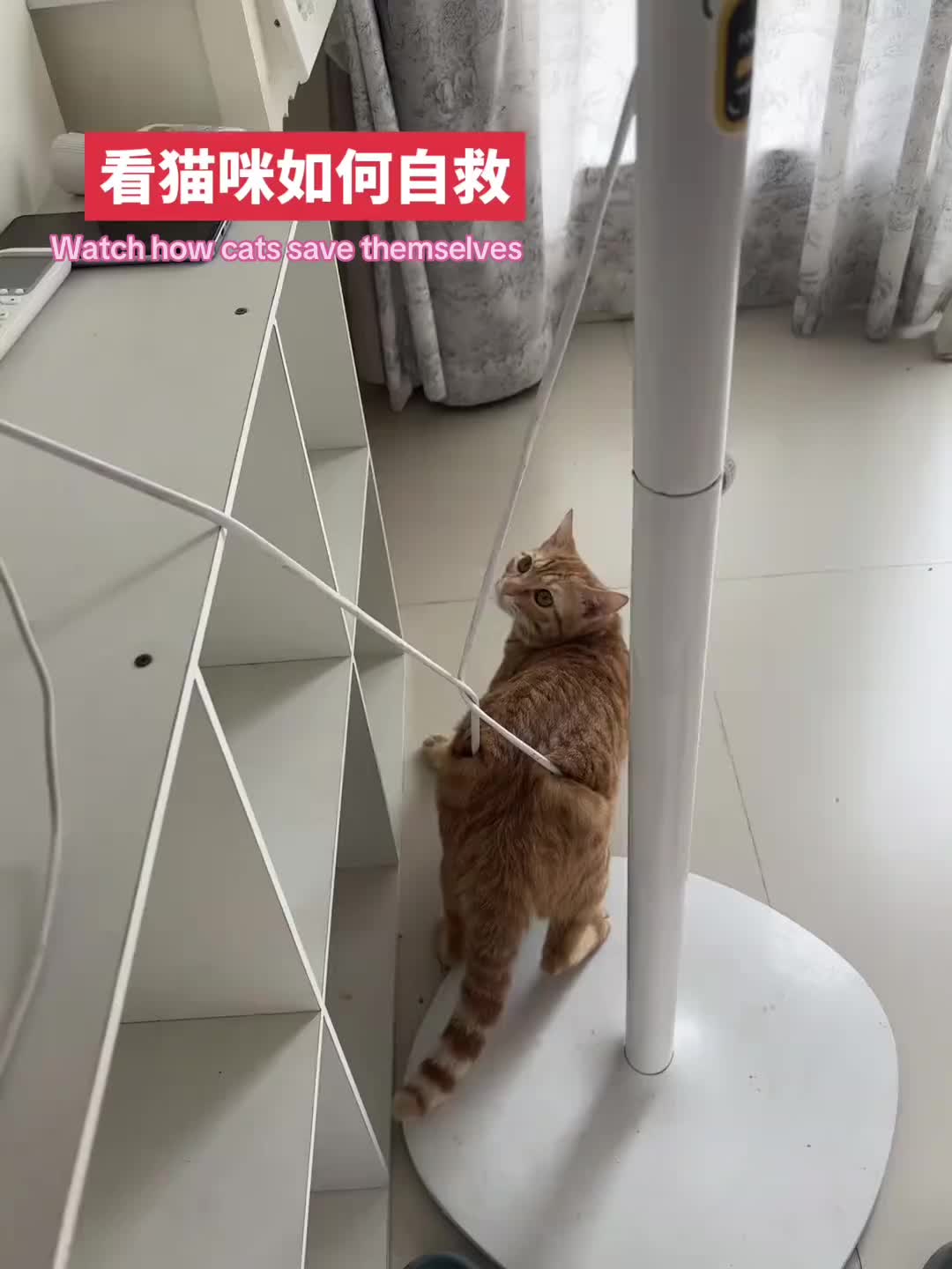 @FluffyTales
