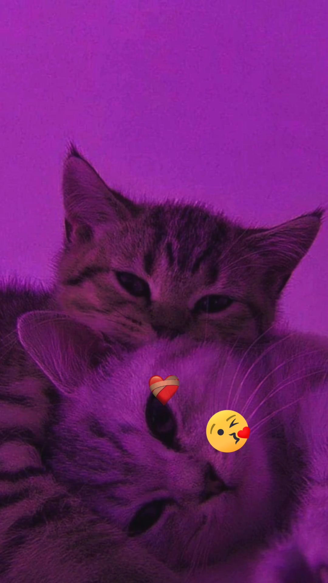 @🍎ERKA 💋Qız🤞🌼🌼🌼🌹🌹