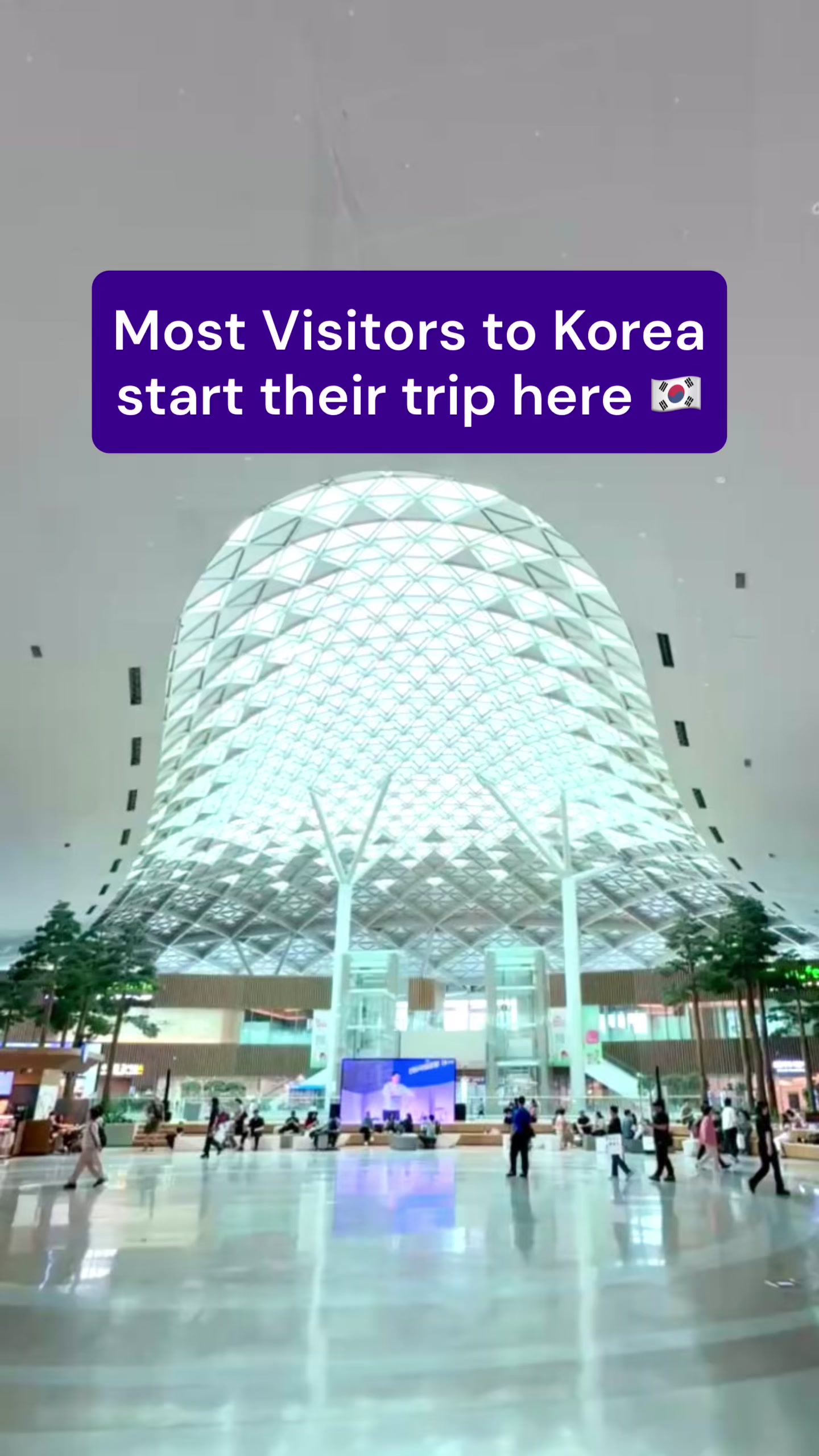 @Busanpedia🇰🇷