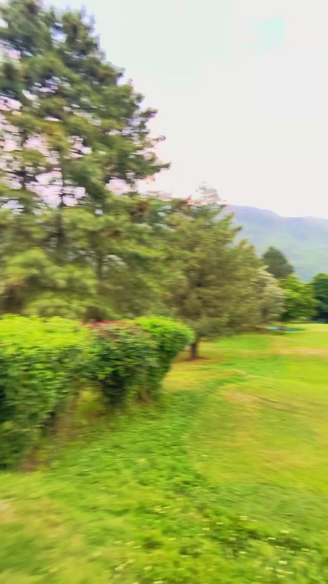@Bhutan Olympic Committee