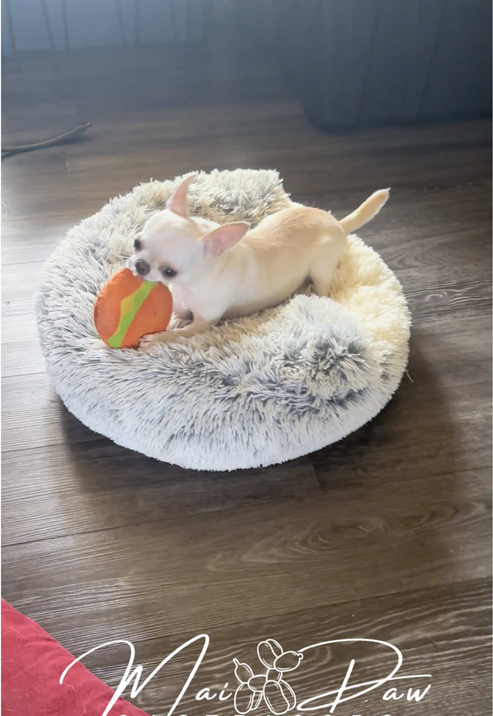 @MaiPaw