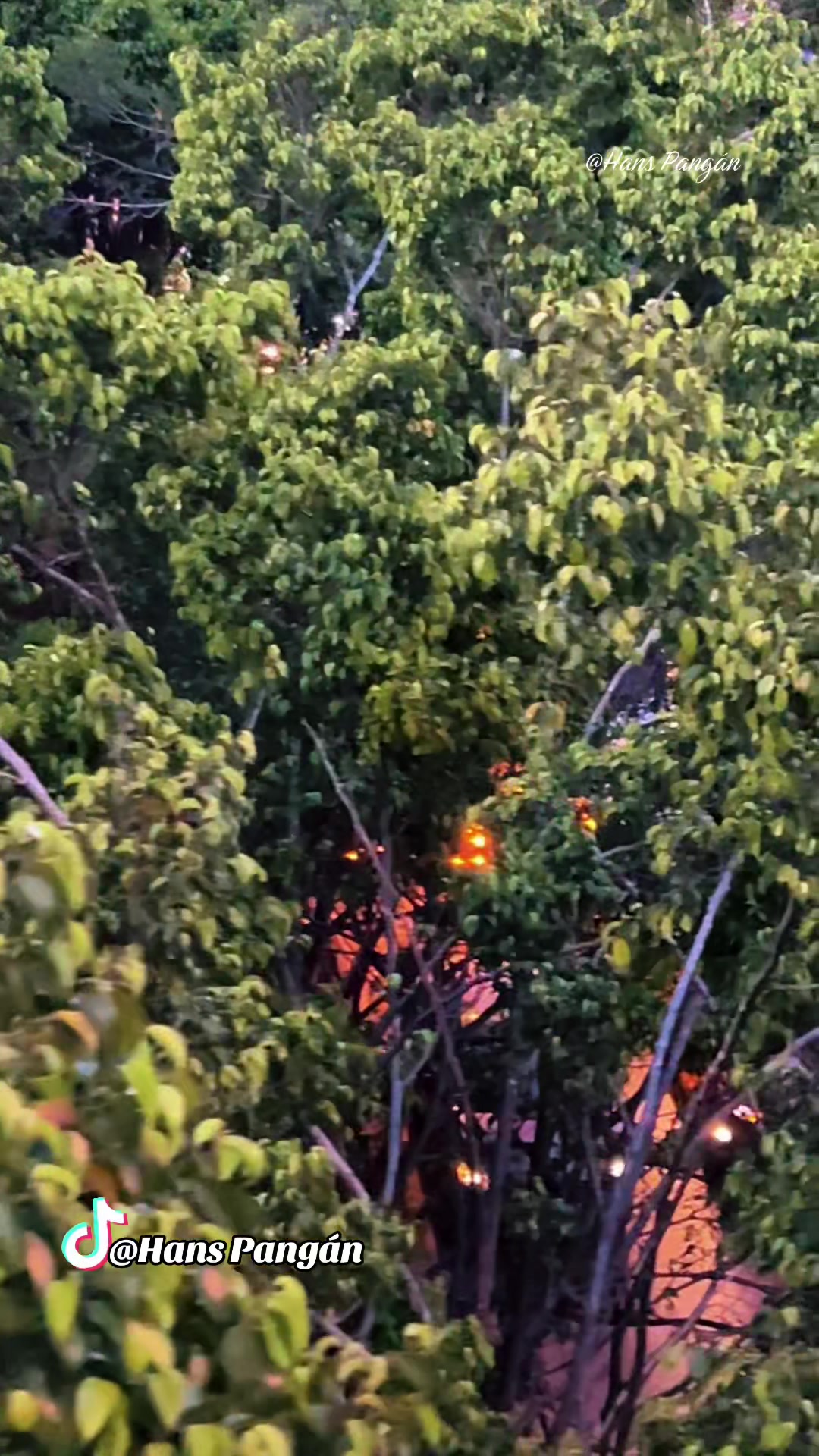 @🇬🇹𝑯𝒂𝒏𝒔 𝑷𝒂𝒏𝒈𝒂́𝒏 🎥&reg;