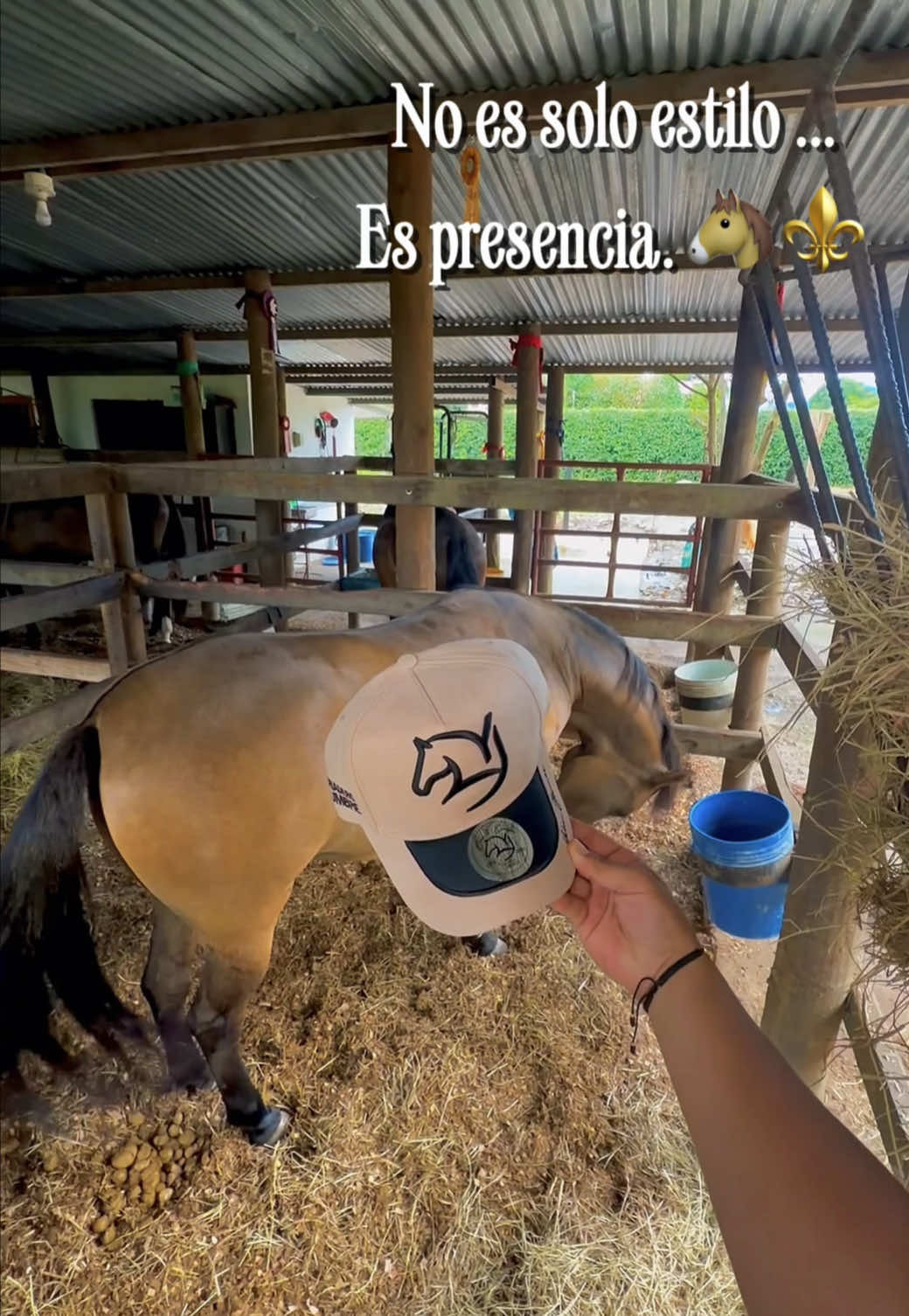 @gorrasbelicas.oficial