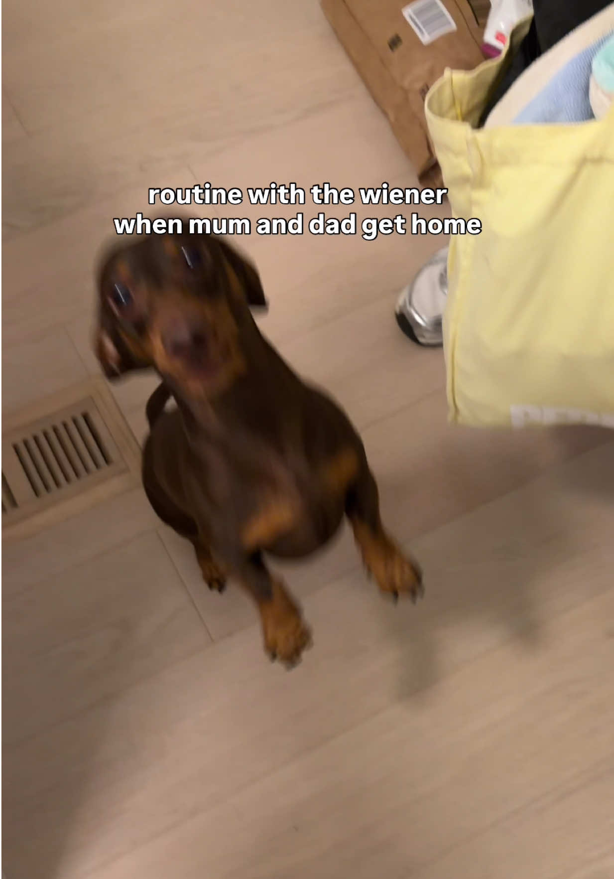 @sebbythesausage