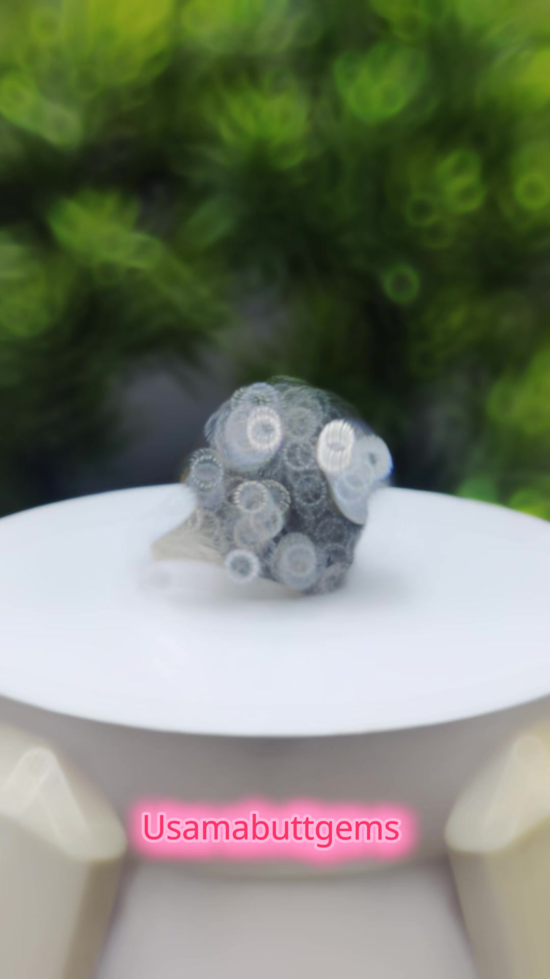 @@Usamabuttgems