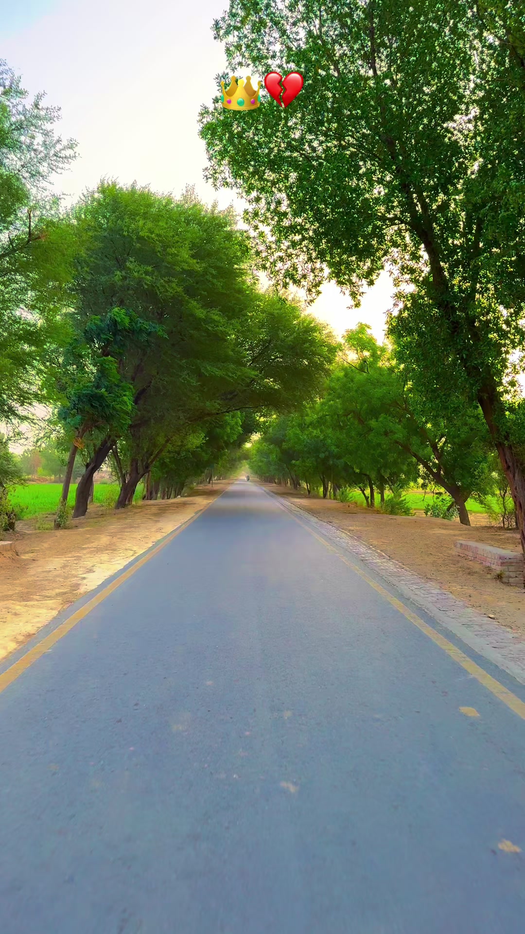@پنجابی کلچر 🌾🍂