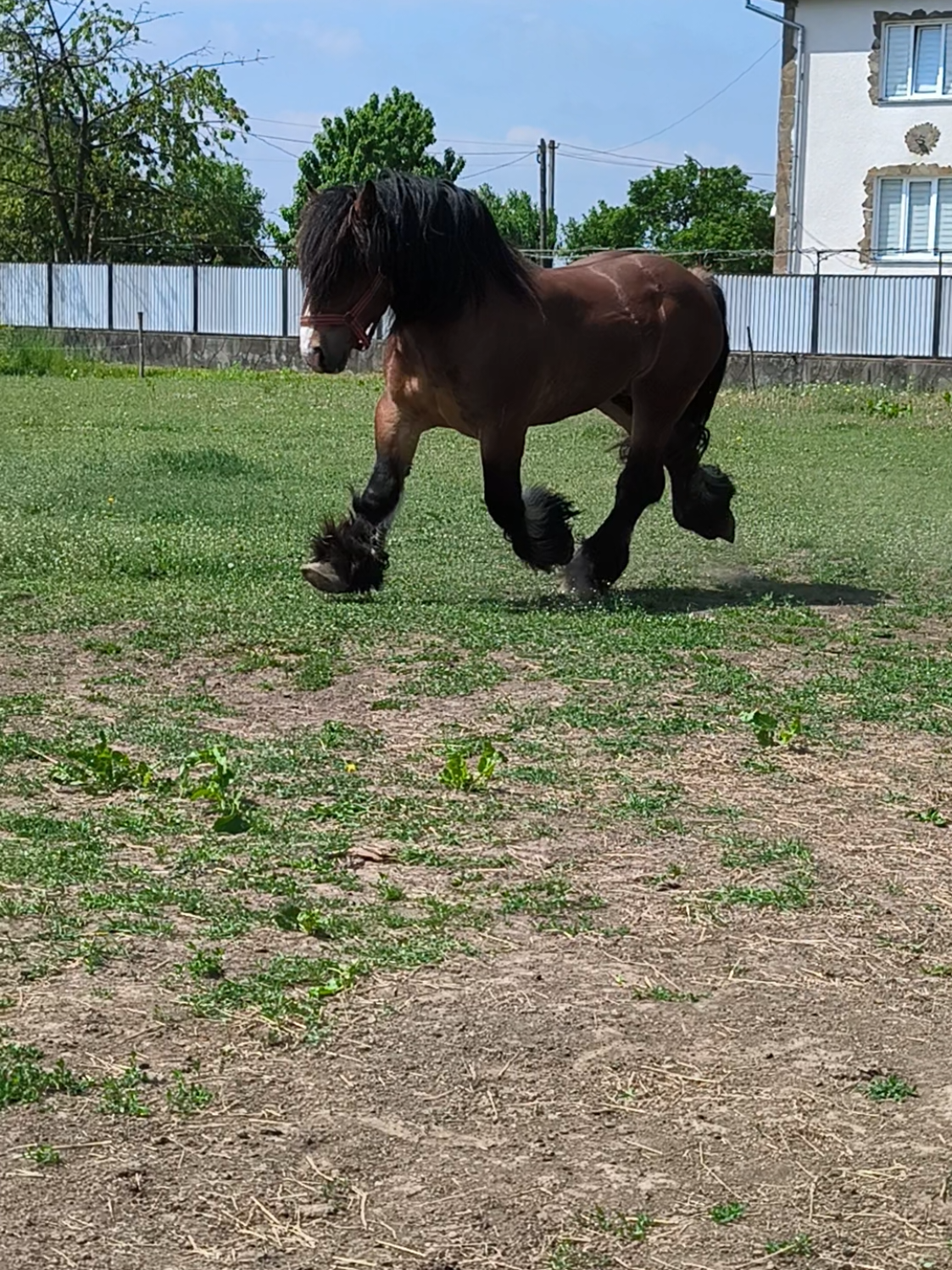 @ВАСЯ БОЙЧУК 🐎