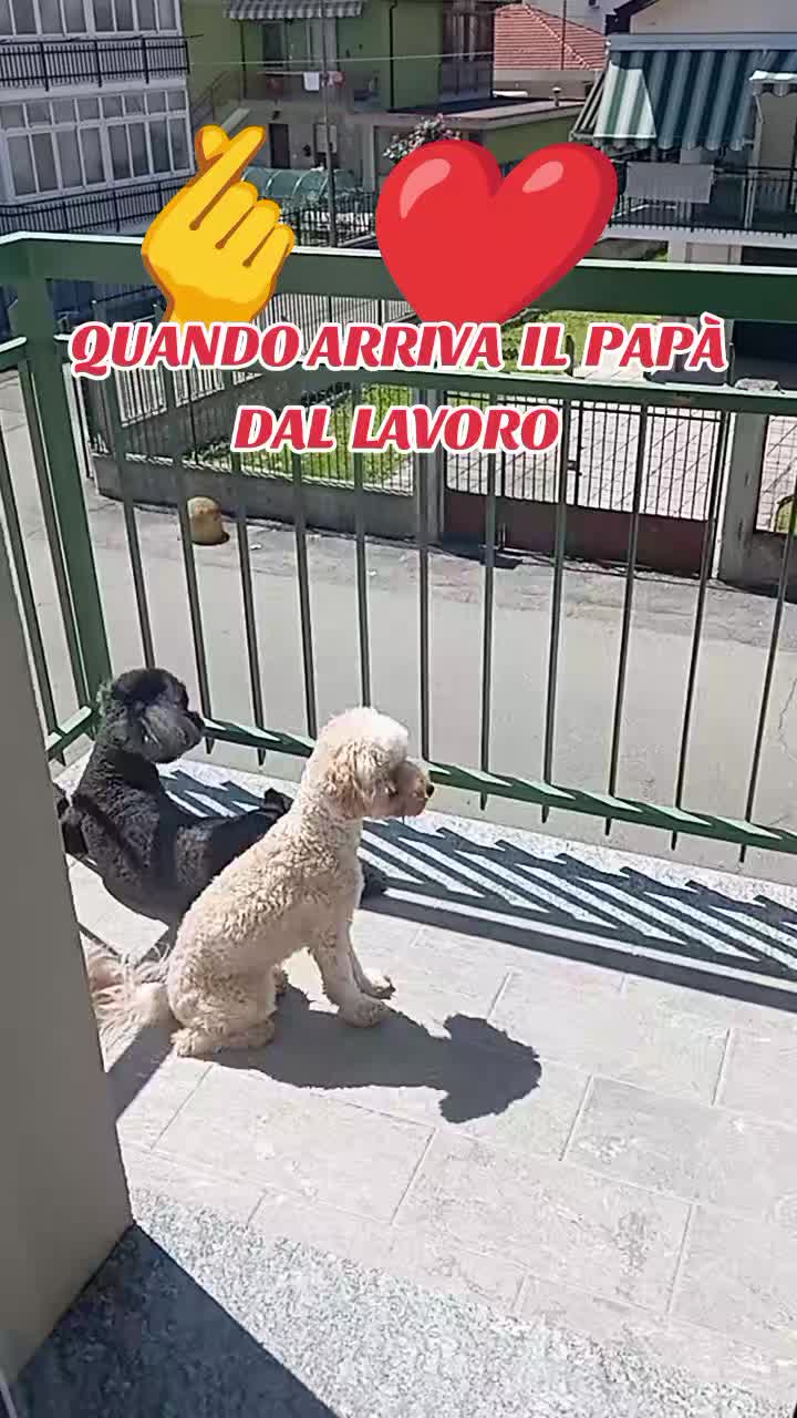 @Julie in Italy