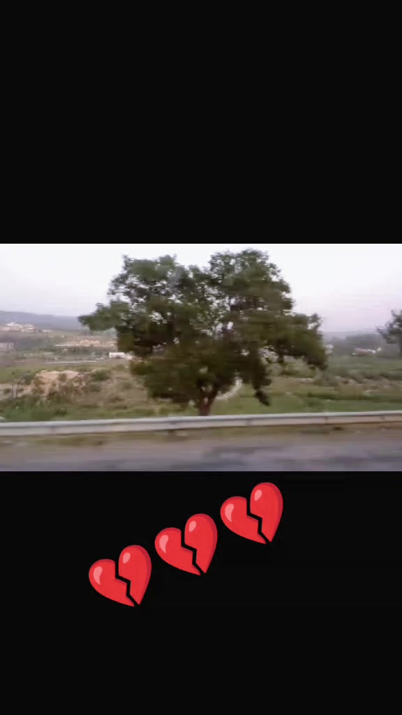 @TARIQBABO44