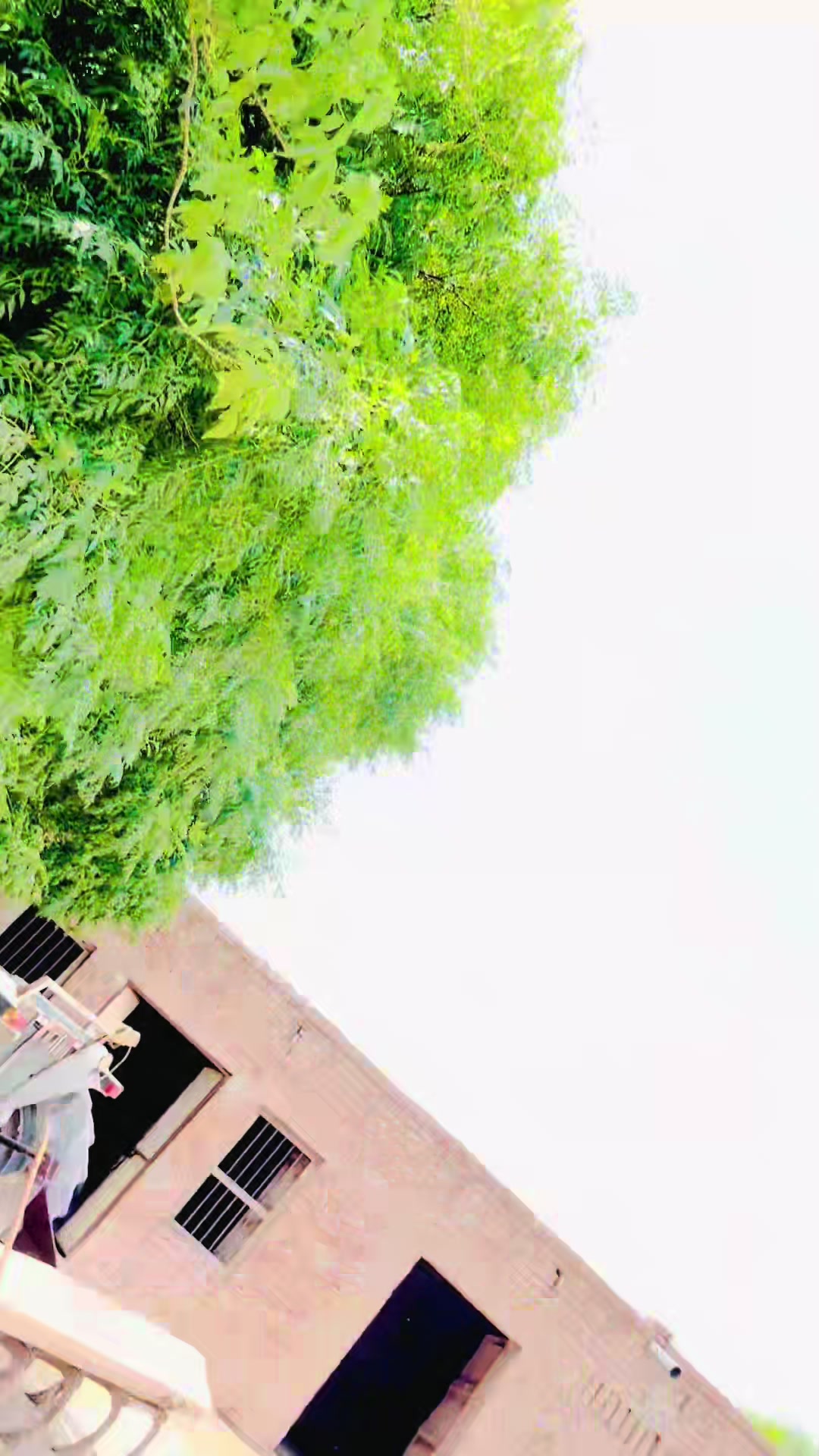 @Mian Ali