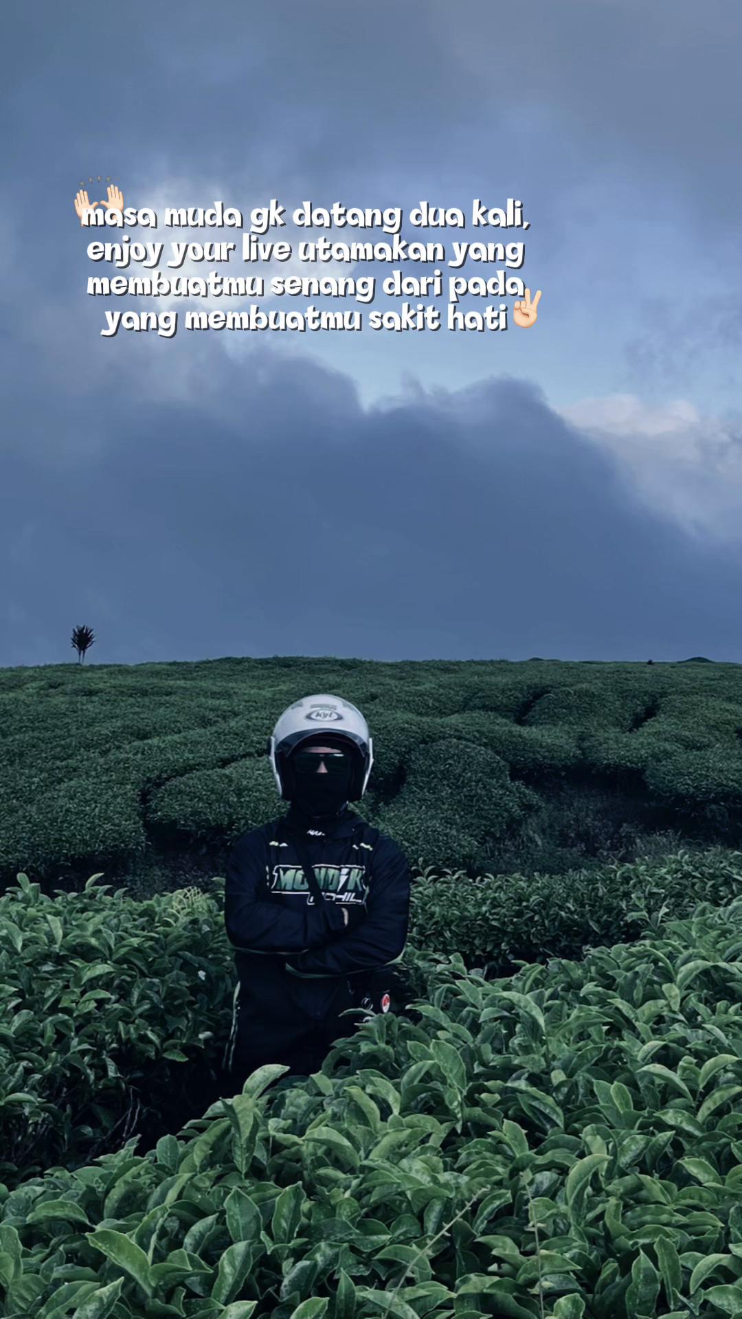 @Mondik⚡