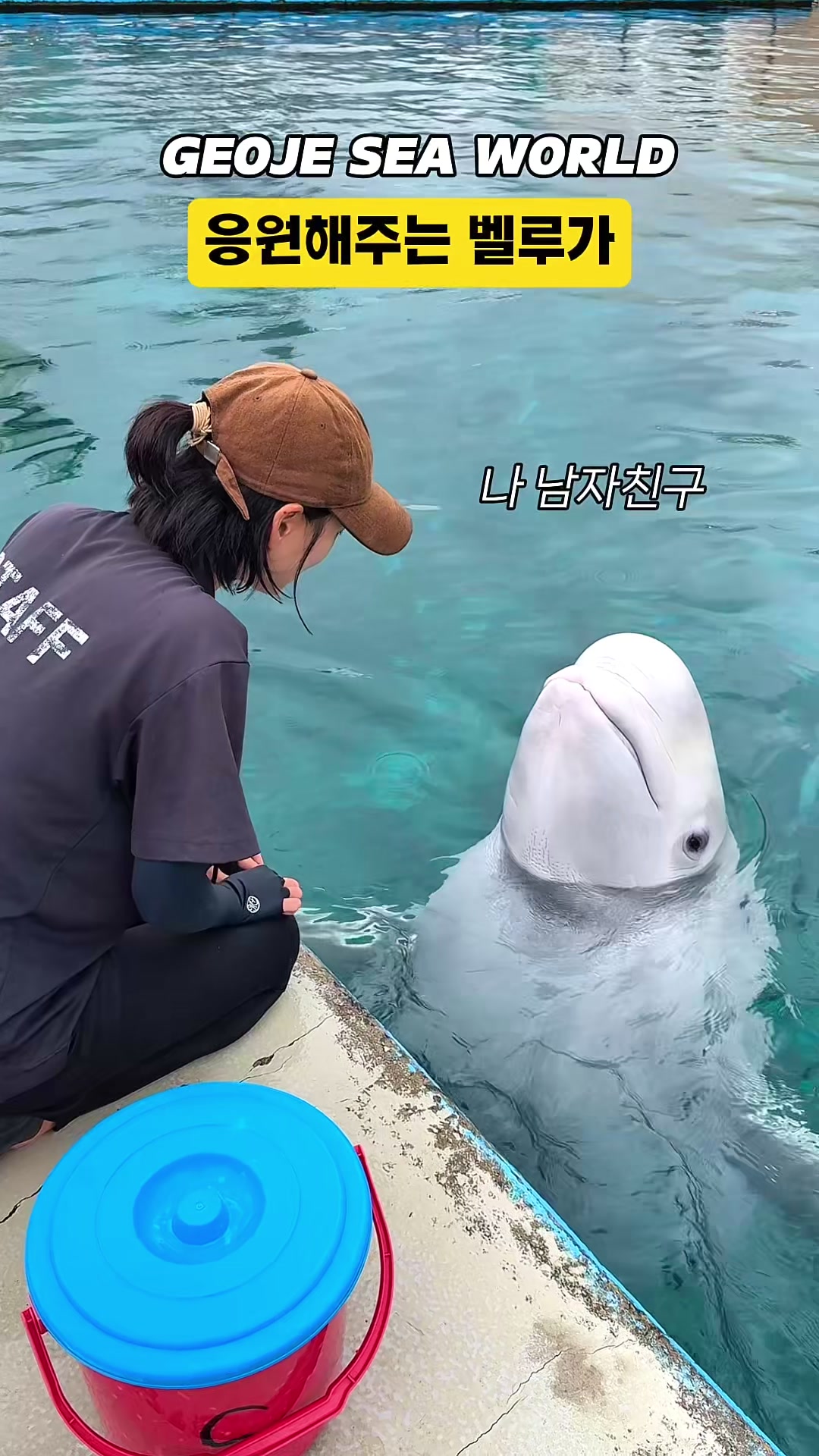 @DolphinTok