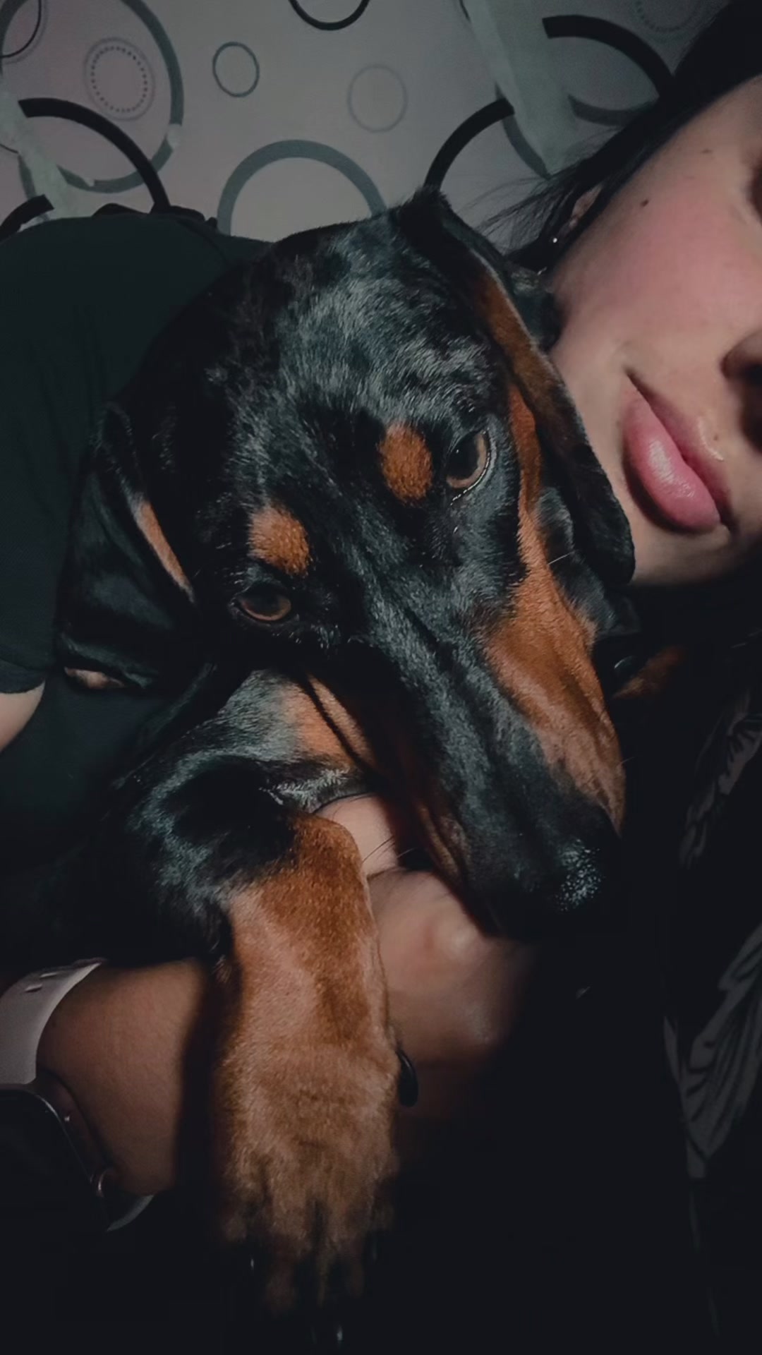 @𝑴𝒊𝒍𝒂 𝑴𝒊𝒍𝒂𝒏𝒆𝒔𝒂 🐾