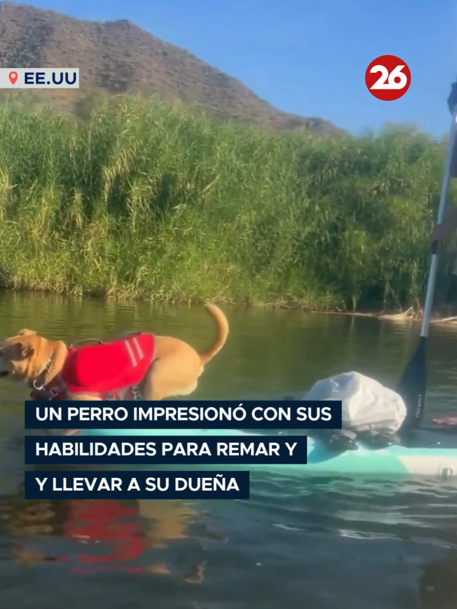 @Canal 26