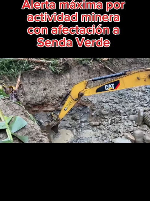 @libertadaynipositiva7