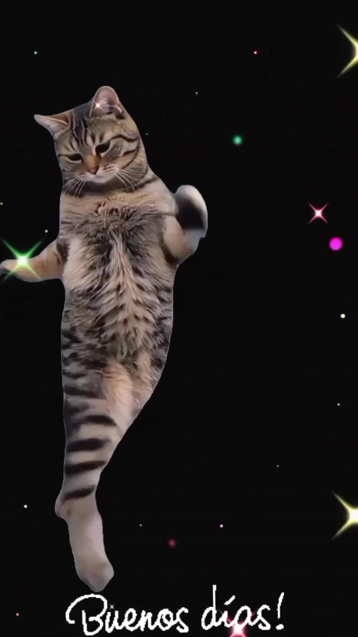 @Ray