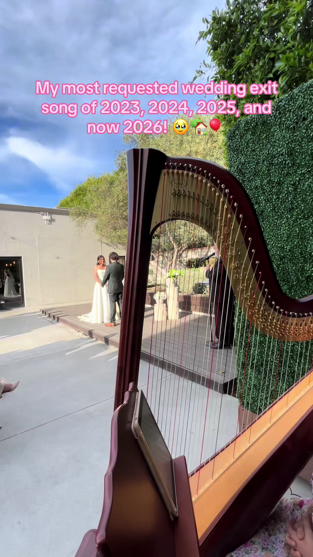 @betaniarodriguezharp